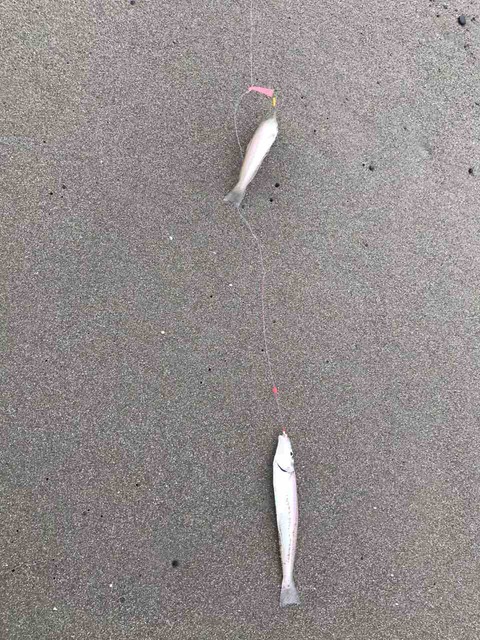 FullSizeRender