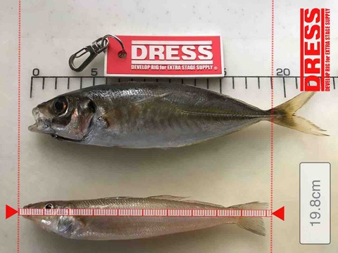 FullSizeRender