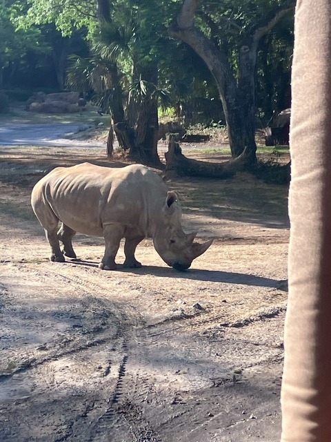 2025-05-02_20-40-47_443