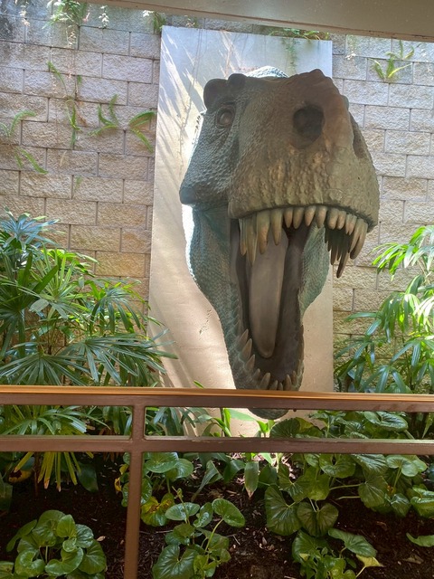 2025-05-02_20-41-01_034