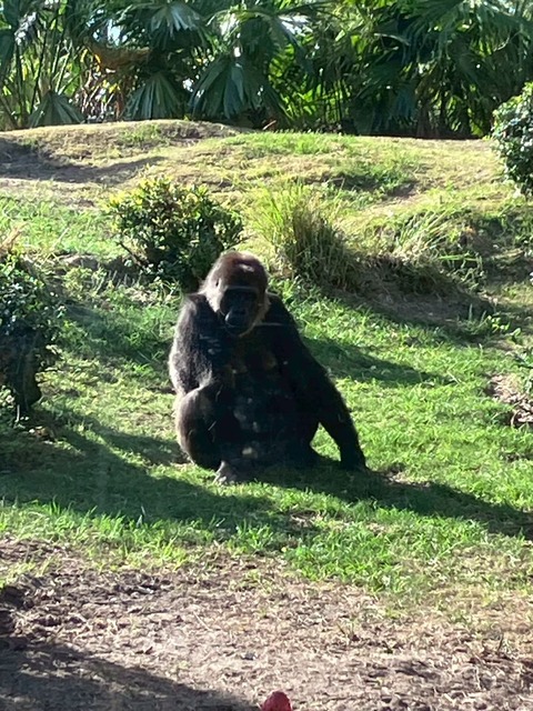 2025-06-26_11-04-28_927