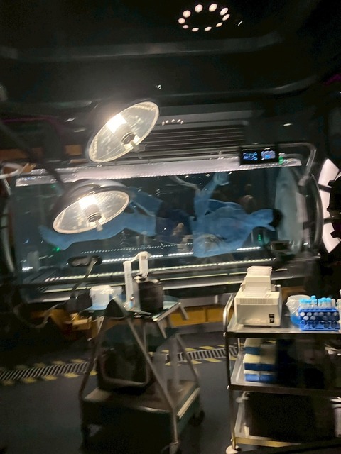 2025-05-02_20-40-39_056