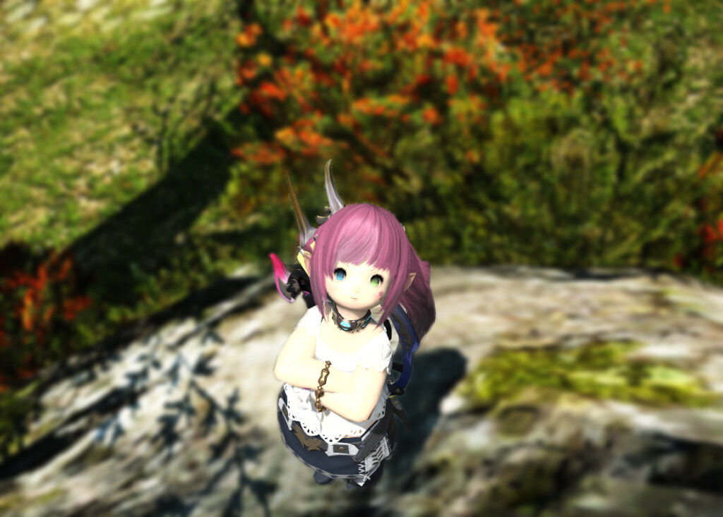 ffxiv_20140624_110536のコピー