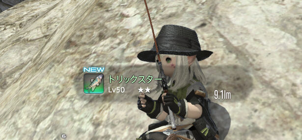 ffxiv_20150116_181342