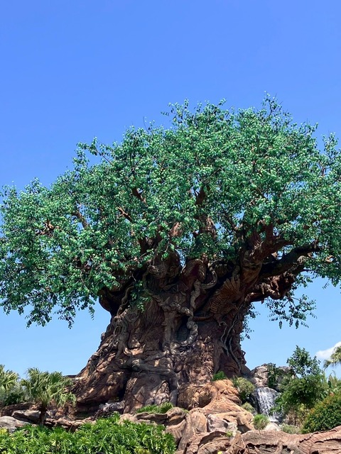 2025-05-02_20-40-39_850