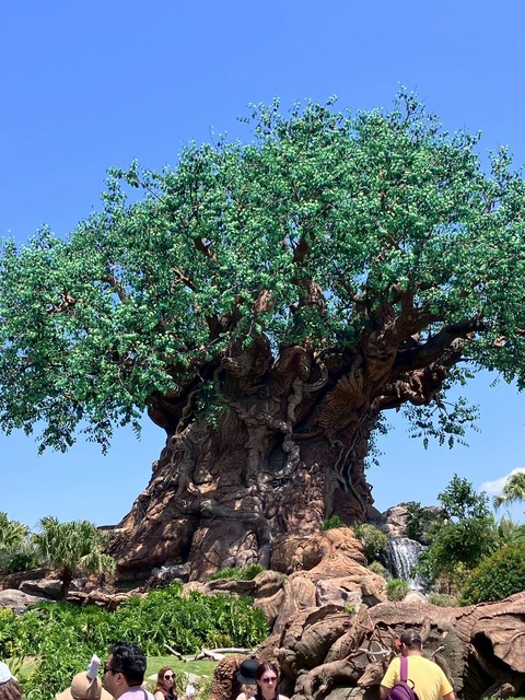 2025-05-02_20-40-40_568