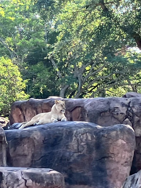 2025-06-26_11-04-32_229