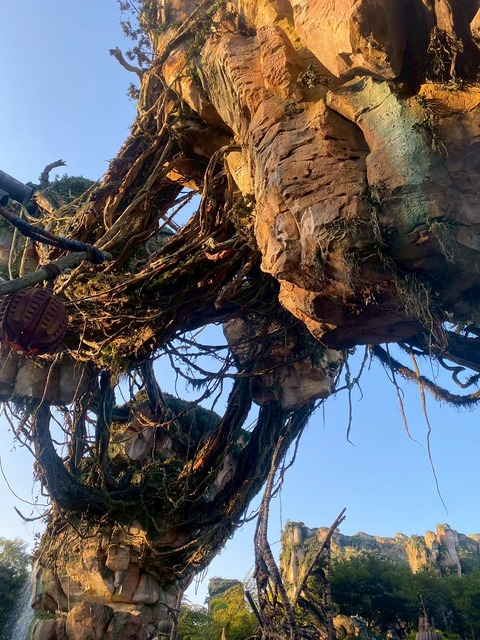 2025-05-02_20-41-48_372