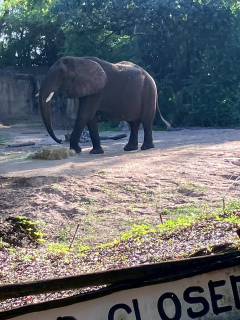 2025-05-02_20-40-49_178