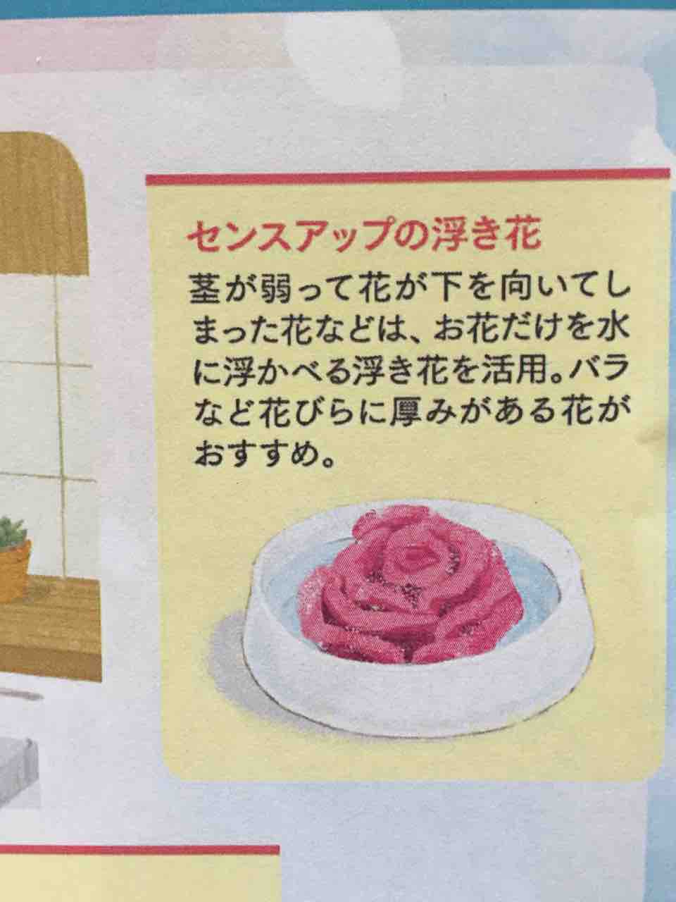 浮き花 ワタケンブログ