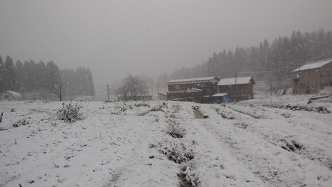 DSCN3197