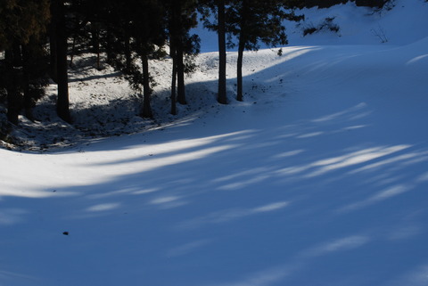 DSC_6391