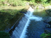 DSC00780