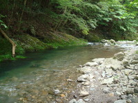 DSC00776