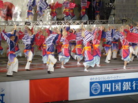DSC00741