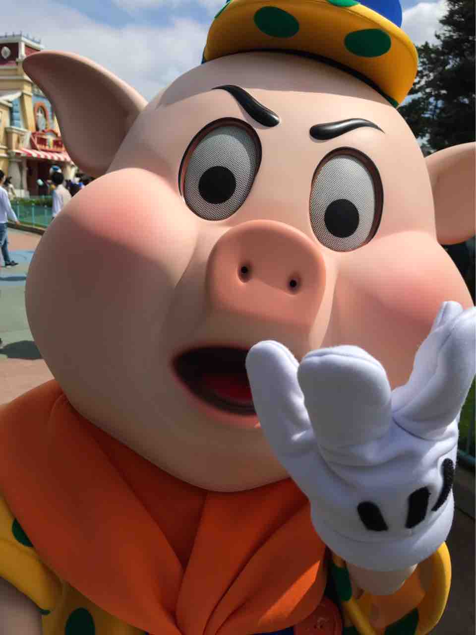 ディズニーランドへ行ってきました まりねらぶろぐ