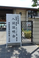 P52809381