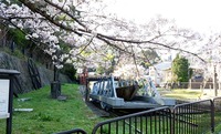 20180330_090708332