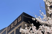 校舎（桜）1