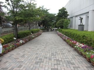 CIMG2427