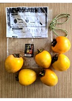 ドキュメント (1)_page-0001