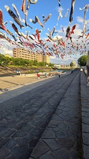1746196261233.jpg1