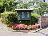 P6024560