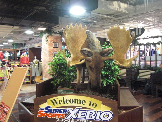 熊とヘラジカは大きい けいkids まり先生のブログ