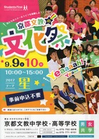 festival表