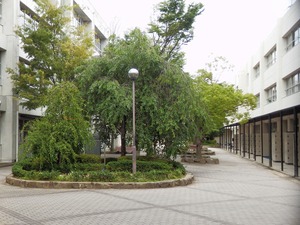 P7123734