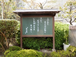 PA272620