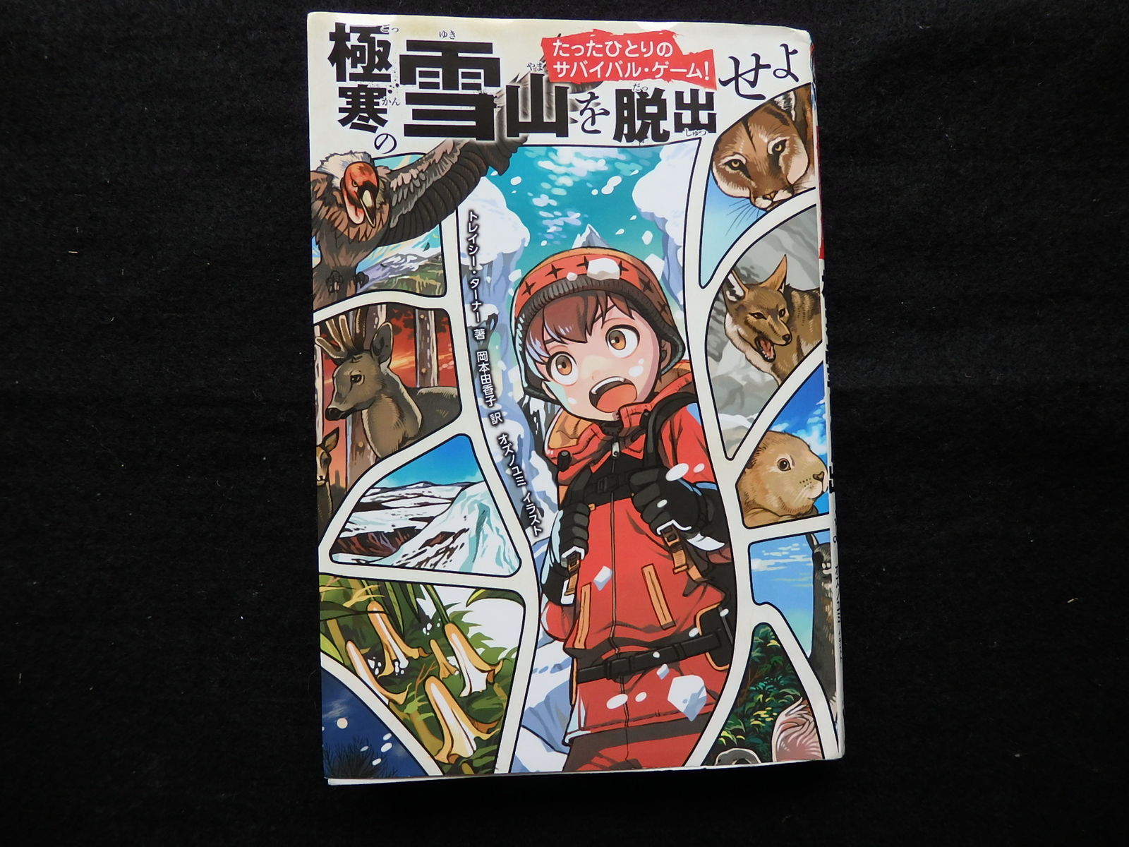 けいkids の新しい本を紹介します けいkids まり先生のブログ