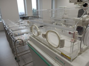 P3131804