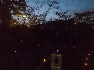 028cc92e9c2ba1cb91c4aa7e2009e64c