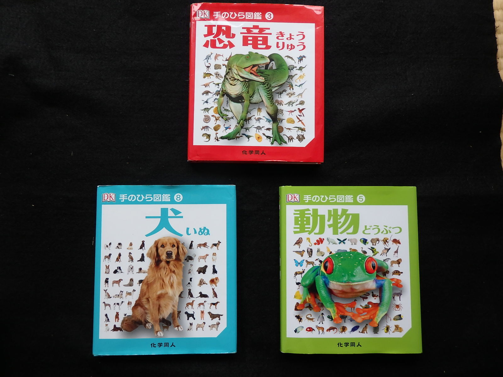 けいkids の新しい本を紹介します けいkids まり先生のブログ けいkids の新しい本を紹介します けいkids まり先生のブログ
