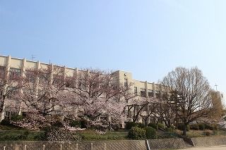 IMG_3711