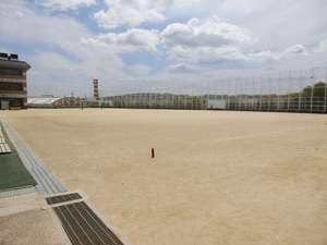 P7282366