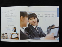 P5296161