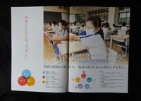 P52609233