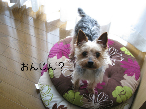 BlogPaint