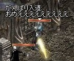 Lin2008031803.jpg
