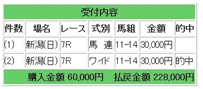 競馬的中馬券