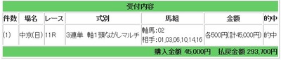 競馬29