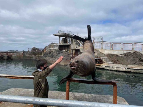 🐬「おたる水族館」に行ってきました！日記🦭2023春