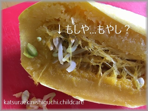 ブログ用6