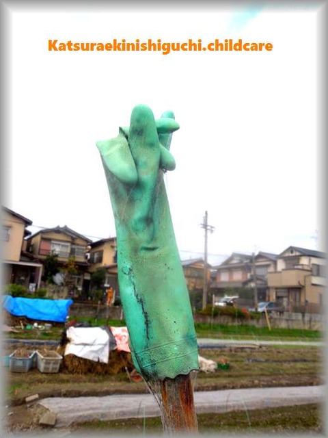 ブログ用2