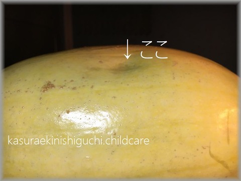 ブログ用3