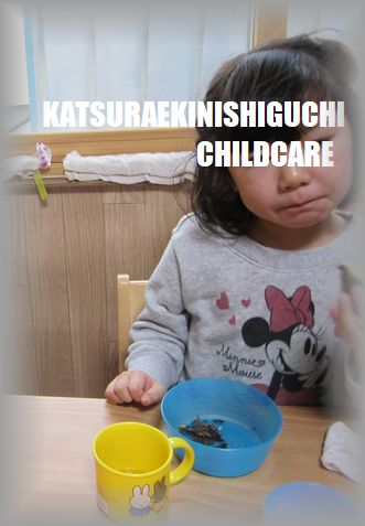 ブログ13