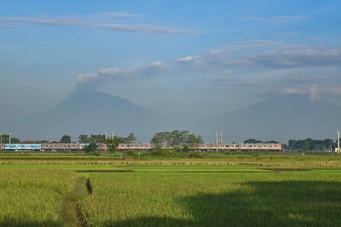 DSC_0988-1