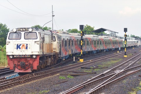 DSC_0446_R